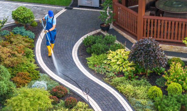 Best Roof Power Washing Services  in Des Peres, MO